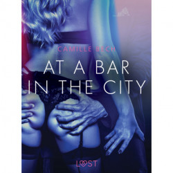 At a Bar in the City - Erotic Short Story