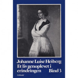 Et liv genoplevet i erindringen: Bind 3