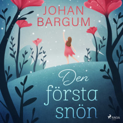 Den första snön