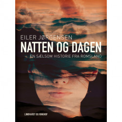Natten og dagen: En sælsom historie fra Romsland