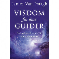 Visdom fra dine guider: Sådan kontakter du din sjæls læremestre