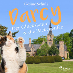 Darcy - Der Glückskater &amp- die Päckchenfee
