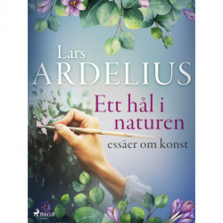 Ett hål i naturen, essäer om konst