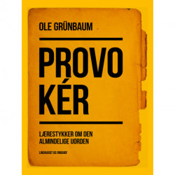 Provokér: Lærestykker om den almindelige uorden