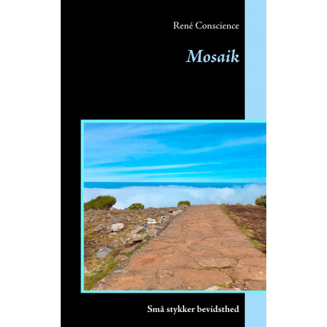 Mosaik: Små stykker bevidsthed