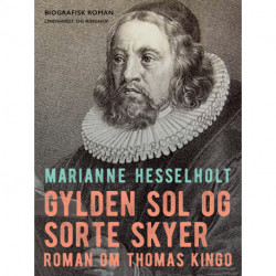 Gylden sol og sorte skyer