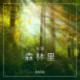 氛围——森林里