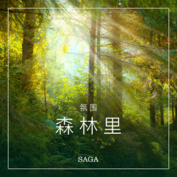 氛围——森林里