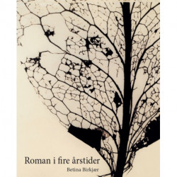 Roman i fire årstider