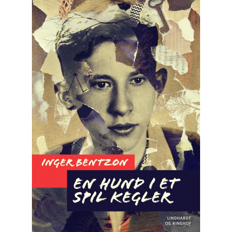 En hund i et spil kegler