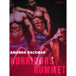 Korridorsrummet - erotisk novell