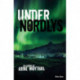 Under nordlys
