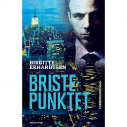 Bristepunktet