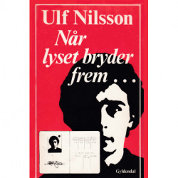 Når lyset bryder frem...