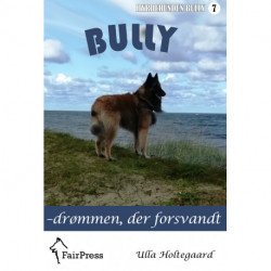 Bully – drømmen, der forsvandt