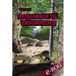 Rejsefører til ensomheden: Hybridroman