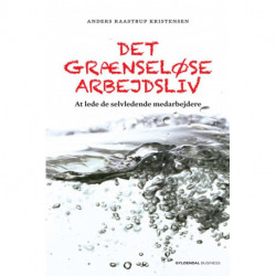 Det grænseløse arbejdsliv: At lede de selvledende medarbejdere