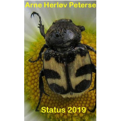 Status 2019: Opdateringer