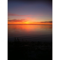 Drengene fra Kolding