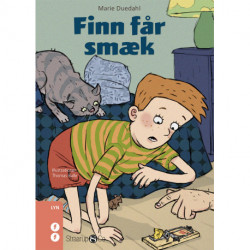 Finn får smæk