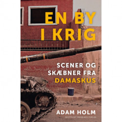 En by i krig: Scener og skæbner fra Damaskus
