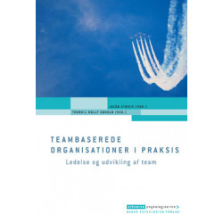 Teambaserede organisationer i praksis: Ledelse og udvikling af team