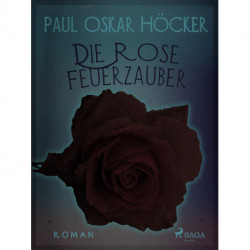 Die Rose Feuerzauber - ein Berliner Roman