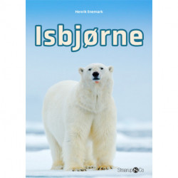 Isbjørne