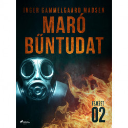 Maró bűntudat – 2. fejezet