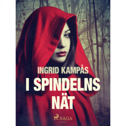 I spindelns nät