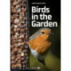 Birds in the Garden
