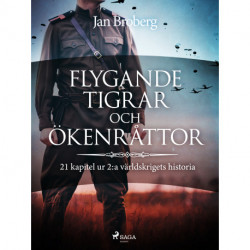 Flygande tigrar och ökenråttor : 21 kapitel ur 2:a världskrigets historia