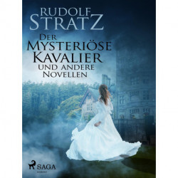 Der mysteriöse Kavalier und andere Novellen