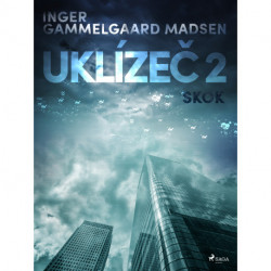 Uklízeč 2: Skok