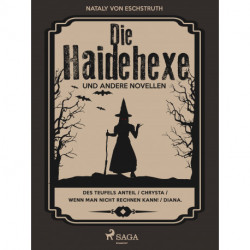 Die Haidehexe und andere Novellen