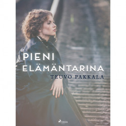 Pieni elämäntarina