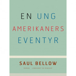 En ung amerikaners eventyr