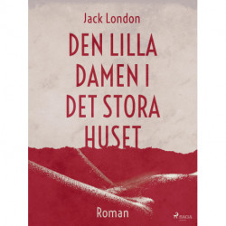 Den lilla damen i det stora huset
