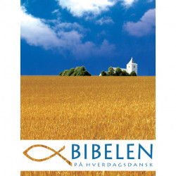 Bibelen på Hverdagsdansk - eBog Edition: Bibelen som Download