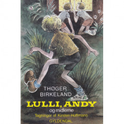 Lulli, Andy og midlerne