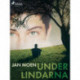 Under lindarna