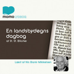 En landsbydegns Dagbog