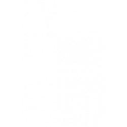 Ulrich Beck: Risikosamfundet og det andet moderne