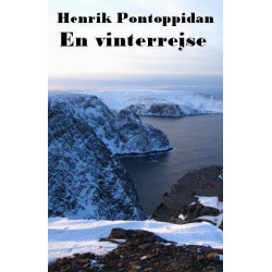 En vinterrejse