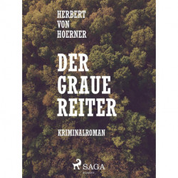 Der graue Reiter
