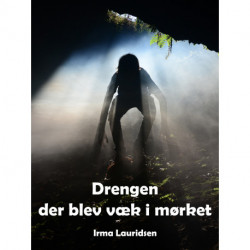 Drengen der blev væk i mørket