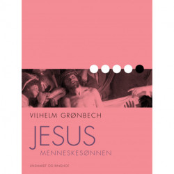 Jesus, Menneskesønnen