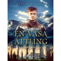 En Vasaättling: historisk roman