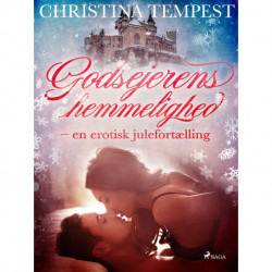 Godsejerens hemmelighed - en erotisk julefortælling