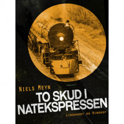 To skud i Natekspressen